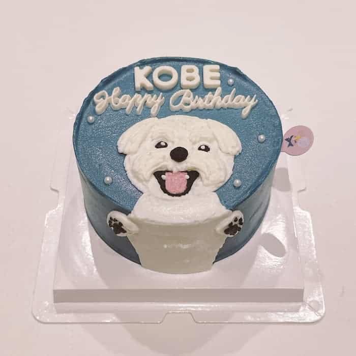 Nella Kharisma avatar